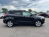 Used 2014 Ford Escape SE w/ Leather Comfort Package image 6