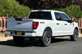 New 2024 Ford F150 STX image 4