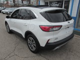 Used 2022 Ford Escape SEL w/ Technology Package image 6
