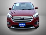 Used 2019 Ford Escape SE image 2
