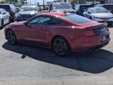 Used 2020 Ford Mustang Premium image 4