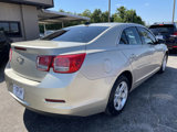 Used 2013 Chevrolet Malibu LS w/ Protection Package image 6