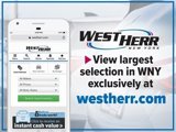 Used 2019 Volkswagen Tiguan SE image 2
