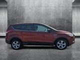 Used 2014 Ford Escape SE image 2