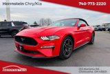 Used 2019 Ford Mustang Premium image 4