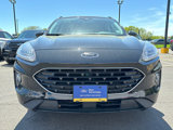 Certified 2022 Ford Escape SEL w/ SEL Stealth AWD Package image 4