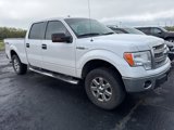 Used 2014 Ford F150 XLT image 3