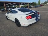 Used 2017 Ford Mustang Shelby GT350 image 6