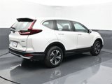 Used 2021 Honda CR-V Special Edition image 5