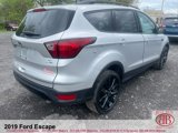 Used 2019 Ford Escape SE image 3