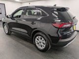 Used 2025 Ford Escape Active w/ Tech Pack #1 image 6