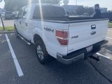 Used 2014 Ford F150 XLT w/ Equipment Group 302A Luxury image 3