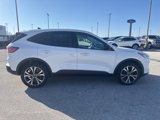 Used 2021 Ford Escape SE w/ SE Sport Appearance Package image 4