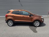 Used 2020 Ford EcoSport SE image 2