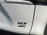 Used 2019 Toyota RAV4 XLE image 5