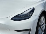 Used 2019 Tesla Model 3 Standard Range Plus image 5
