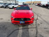 Used 2019 Ford Mustang Premium w/ Equipment Group 201A image 3