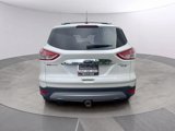 Used 2015 Ford Escape Titanium image 4