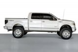 Used 2014 Ford F150 Platinum image 5