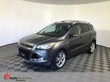 Used 2016 Ford Escape Titanium image 3