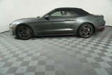 Used 2019 Ford Mustang Premium image 4