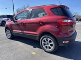 Used 2020 Ford EcoSport SE w/ SE Convenience Package image 5