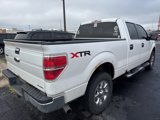 Used 2014 Ford F150 XLT image 4