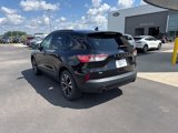 Used 2022 Ford Escape SE w/ SE Sport Appearance Package image 3