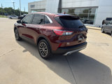 Used 2021 Ford Escape SE image 3