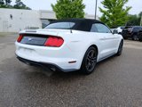 Used 2020 Ford Mustang Premium image 5
