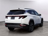 Used 2024 Hyundai Tucson Limited image 5