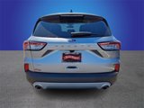 Used 2021 Ford Escape SEL image 5
