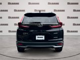 Used 2020 Honda CR-V Touring image 4