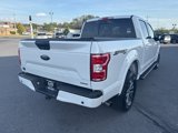 Used 2019 Ford F150 XLT w/ Equipment Group 302A Luxury image 5