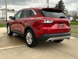 Used 2020 Ford Escape SE image 4