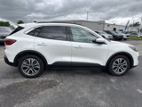 Used 2020 Ford Escape SEL image 3