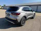 New 2024 Ford Escape SE image 5