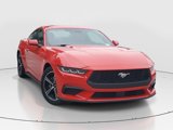 Used 2024 Ford Mustang Premium image 3