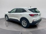 Used 2022 Ford Escape SE w/ Convenience Package image 3