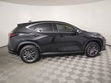 New 2025 Lexus NX 250 FWD image 4