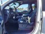 New 2025 Ford F150 STX image 6