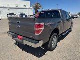 Used 2012 Ford F150 XLT w/ XLT Chrome Pkg image 5