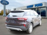 Used 2023 Ford Escape Active w/ Tech Pack #1 image 3
