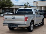 Used 2013 Ford F150 XLT w/ XLT Chrome Pkg image 4