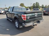 Used 2013 Ford F150 XLT w/ Luxury Equipment Group image 4