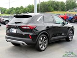 Used 2023 Ford Escape Platinum image 5