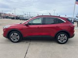 Used 2022 Ford Escape SEL w/ Technology Package image 5