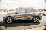 Used 2020 Ford Escape SEL image 5