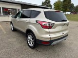 Used 2017 Ford Escape SE image 6