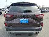 Certified 2023 Ford Escape SE image 5